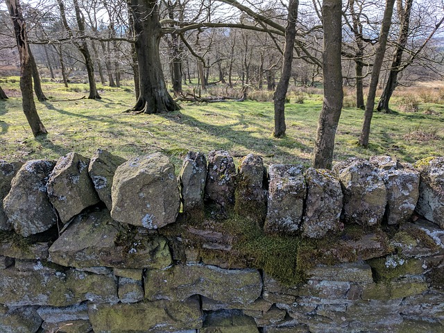 drystone-wall-2643480_640